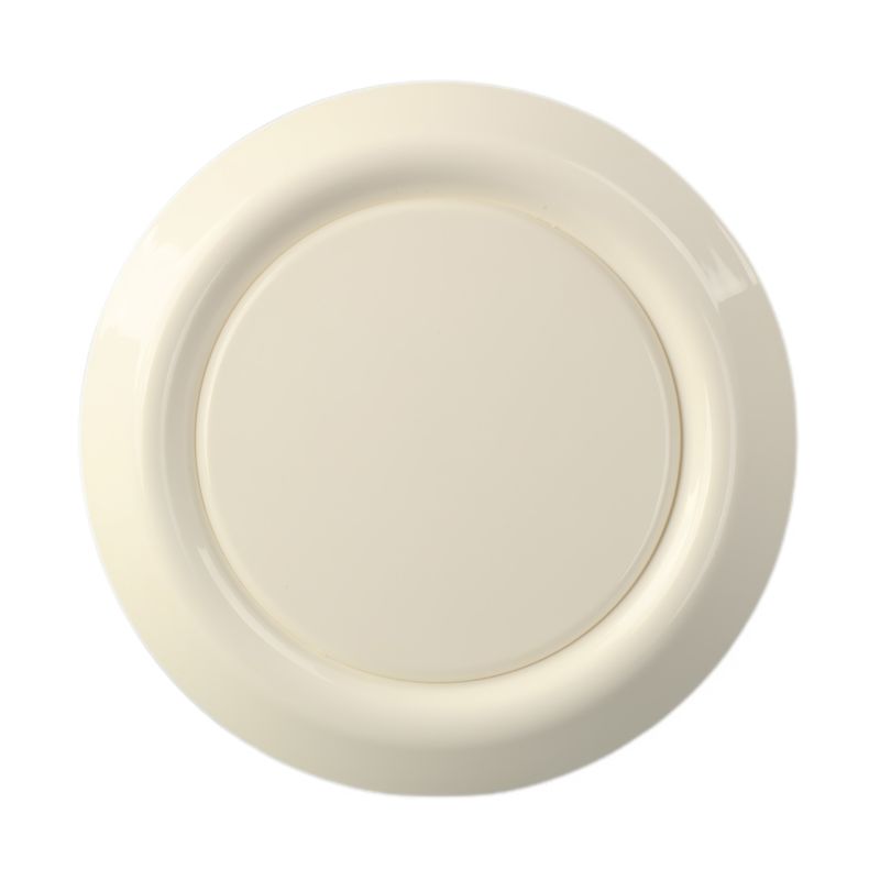23-65 Valvola a disco di plastica supporto personalizzato per una ventilazione ottimale dell'aria nei sistemi HVAC